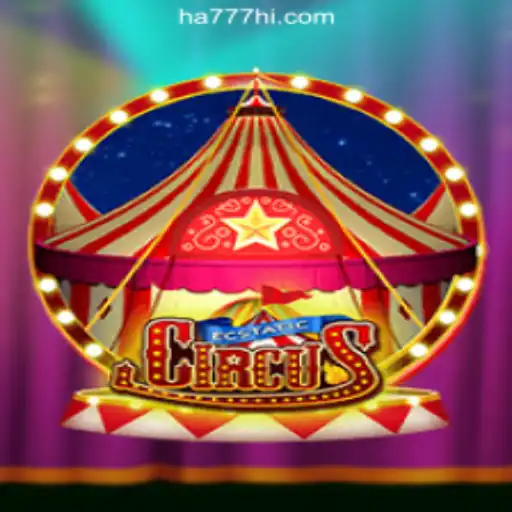 Exploring the Thrills of EcstaticCircus